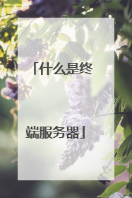 什么是终端服务器