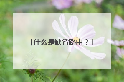 什么是缺省路由？