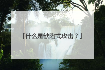 什么是缺陷式攻击？