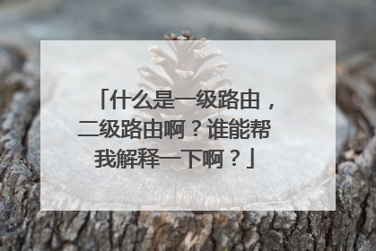 什么是一级路由，二级路由啊？谁能帮我解释一下啊？