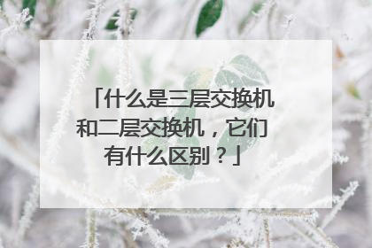 什么是三层交换机和二层交换机，它们有什么区别？