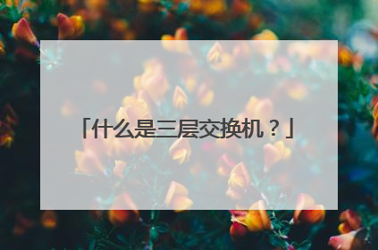 什么是三层交换机?