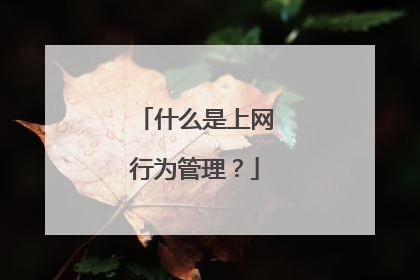 什么是上网行为管理?