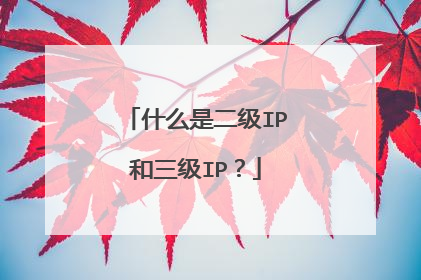 什么是二级IP和三级IP？