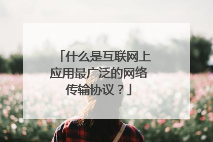 什么是互联网上应用最广泛的网络传输协议?