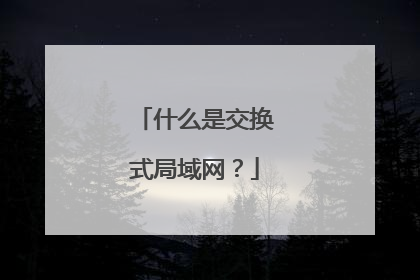 什么是交换式局域网？