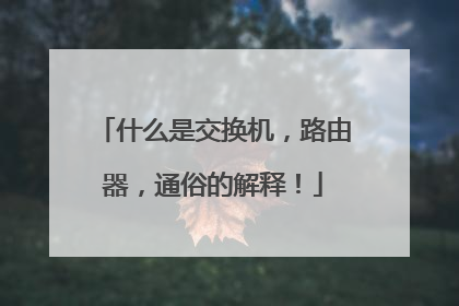 什么是交换机，路由器，通俗的解释！