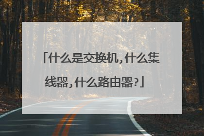 什么是交换机,什么集线器,什么路由器?