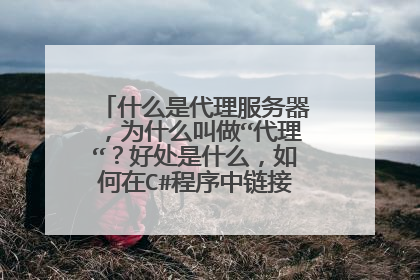 什么是代理服务器,为什么叫做“代理“?好处是什么,如何在C#程序中链接到代理服务器?