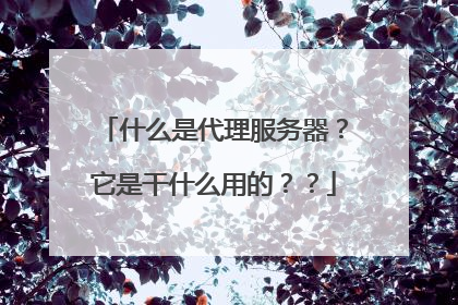 什么是代理服务器?它是干什么用的??