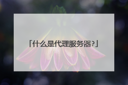 什么是代理服务器?