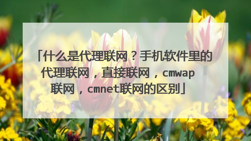 什么是代理联网？手机软件里的代理联网，直接联网，cmwap联网，cmnet联网的区别