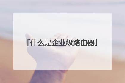 什么是企业级路由器