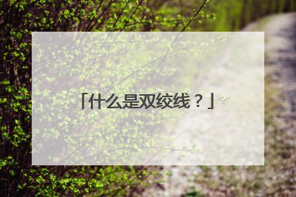 什么是双绞线?