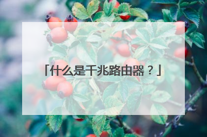 什么是千兆路由器？