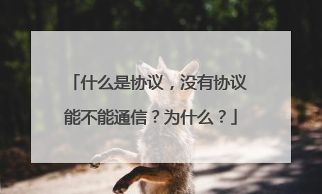 什么是协议，没有协议能不能通信？为什么？