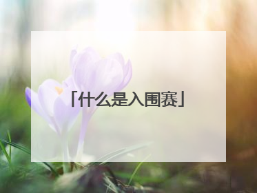 什么是入围赛