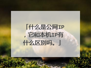 什么是公网IP,它和本机IP有什么区别吗。