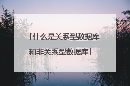 什么是关系型数据库和非关系型数据库