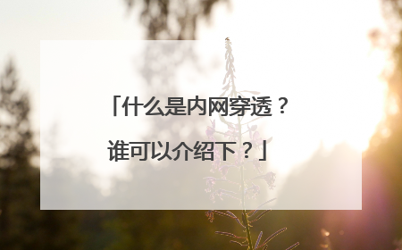 什么是内网穿透?谁可以介绍下?