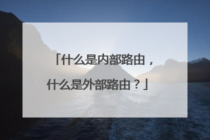 什么是内部路由，什么是外部路由？