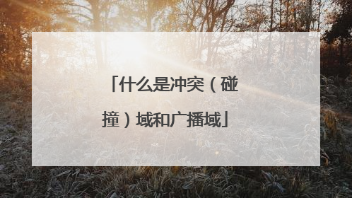 什么是冲突（碰撞）域和广播域