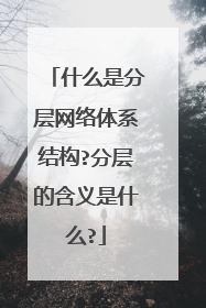 什么是分层网络体系结构?分层的含义是什么?