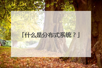 什么是分布式系统?