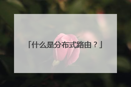 什么是分布式路由？