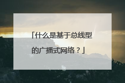 什么是基于总线型的广播式网络?