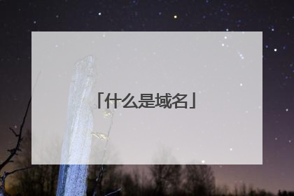什么是域名