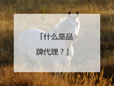 什么是品牌代理?