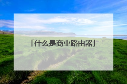 什么是商业路由器