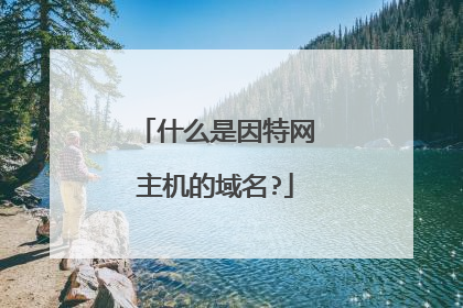 什么是因特网主机的域名?