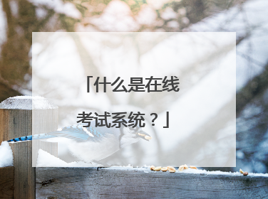 什么是在线考试系统？