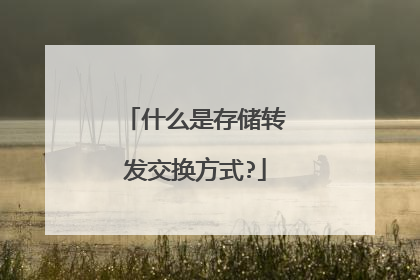 什么是存储转发交换方式?