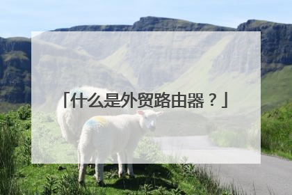 什么是外贸路由器?