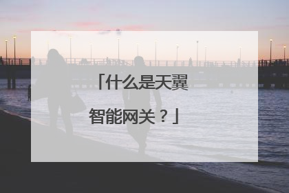 什么是天翼智能网关?