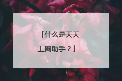 什么是天天上网助手?
