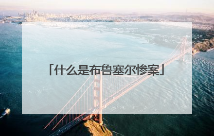 什么是布鲁塞尔惨案