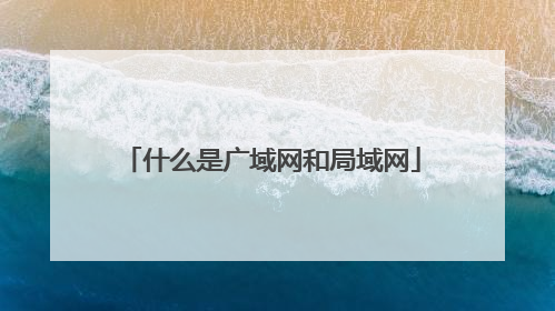 什么是广域网和局域网