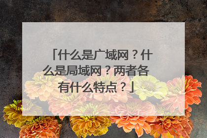 什么是广域网?什么是局域网?两者各有什么特点?