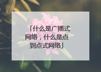 什么是广播式网络，什么是点到点式网络