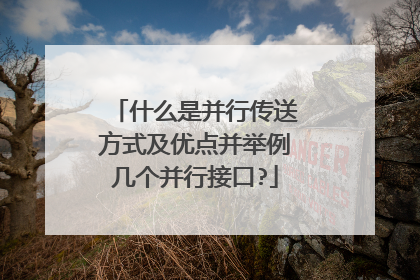 什么是并行传送方式及优点并举例几个并行接口?