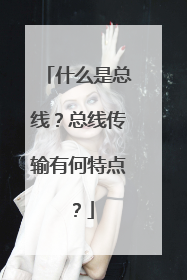 什么是总线?总线传输有何特点?