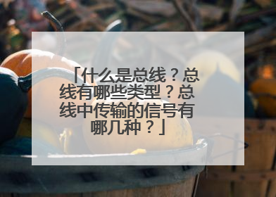 什么是总线？总线有哪些类型？总线中传输的信号有哪几种？