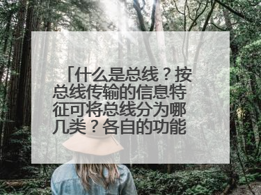 什么是总线?按总线传输的信息特征可将总线分为哪几类?各自的功能是什么?