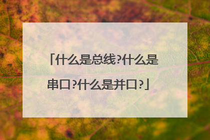 什么是总线?什么是串口?什么是并口?