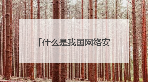 什么是我国网络安全保护的基本法