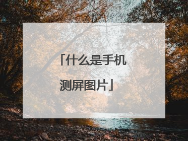 什么是手机测屏图片